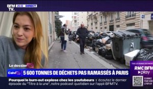 Raphaëlle Rémy-Leleu: "Je ne ferai pas partie de ces élus qui veulent se placer du côté des briseurs de grève"