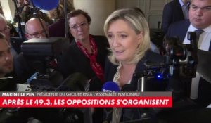 Marine Le Pen : «Si Emmanuel Macron veut dissoudre l'Assemblée nationale : chiche!»