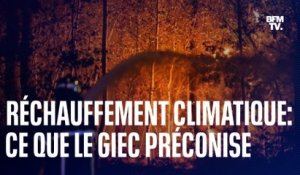 Énergie, transports, alimentation: ce que le Giec préconise pour limiter le réchauffement climatique