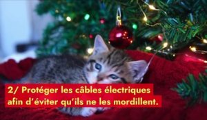 Comment dissuader son animal de s’attaquer au sapin de Noël ?