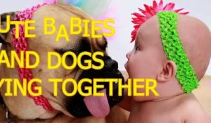 Cute babies and dogs playing together   Funny baby & dog com