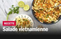 Salade vietnamienne - Les recettes de François-Régis Gaudry