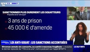 Projet de loi "anti-squat": "Au niveau du symbole, c'est une bonne chose", estime Christophe Demerson, président de l'UNPI