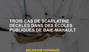 Trois cas de scarlatine décelés dans des écoles publiques de Baie-Mahault