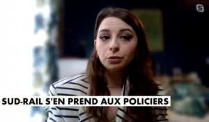 Perrine Sallé : «On a une police et une gendarmerie qui est en grande majorité exemplaire»