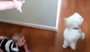 funny baby and dog videos - Funny Cute Babies and Funny Dogs Video