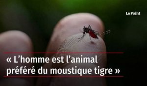 « L’homme est l’animal préféré du moustique tigre »