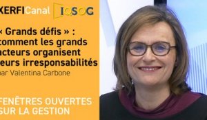 « Grands défis » : comment les grands acteurs organisent leurs irresponsabilités [Valentina Carbone]