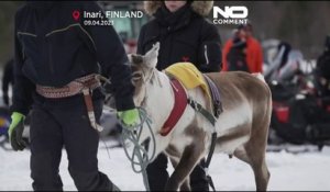 No Comment : la ville d'Inari en Finlande organise sa course de rennes annuelle