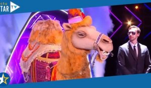 Mask Singer 5 - Le Chameau : Du jamais vu dans l'émission, un enquêteur a déjà percé le mystère