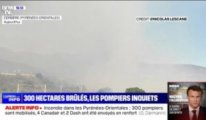 Pyrénées-Orientales: 300 hectares brûlés dans un incendie en cours entre Cerbère et Banyuls-sur-Mer