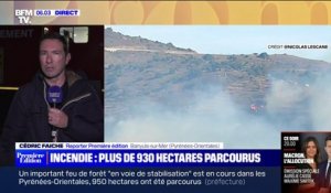 Incendie dans les Pyrénées-Orientales: le feu est désormais "maîtrisé"