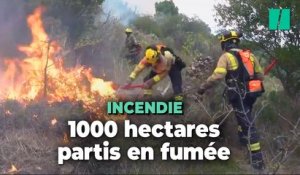 Un incendie ravage près de 1000 hectares dans les Pyrénées-Orientales