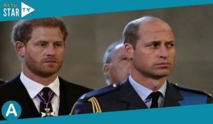 Harry et William : ce qu'ils ont prévu de faire ensemble (ou pas) au couronnement de Charles III