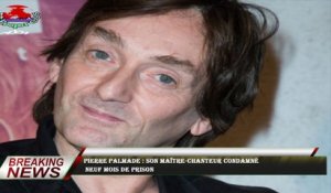 Pierre Palmade : son maître-chanteur condamné  neuf mois de prison