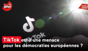 TikTok menace-t-il les démocraties européennes ? Raphaël Glucksmann et Nathalie Loiseau auditionnés