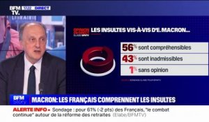 Pour 56% des Français, les insultes vis-à-vis d'Emmanuel Macron sont "compréhensibles"(sondage BFMTV/Elabe)