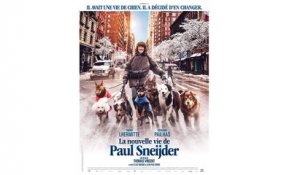 La Nouvelle Vie de Paul Sneijder (2016) WebRip en Français (HD 1080p)