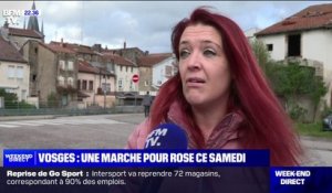 Vosges: "C'est écœurant, aberrant et triste", l'incompréhension des habitants de Rambervillers