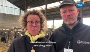 La ferme laitière Vandecandelaere dans les Flandres (Belgique)