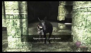 Shadow of the Colossus Classics HD online multiplayer - ps3
