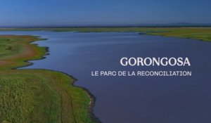 Teaser de "Gorongosa, le parc de la réconciliation"