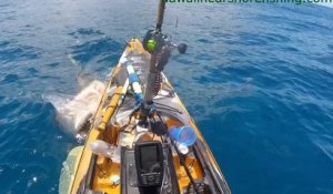 Un pêcheur hawaïen filme la violente attaque d'un requin-tigre sur son kayak