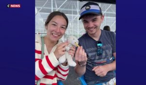 Pau : trois personnes retrouvent le doudou de sa fille, il offre 200 burgers à ses clients