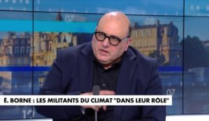 Julien Dray : «Le glyphosate aurait dû être interdit à l'échelle de toute l'Europe»