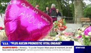 "On est tous dans la souffrance": témoigne l'arrière-grand-mère d'Alba, fillette victime de l'attaque au couteau à Annecy