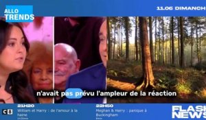 Laurent Fontaine évoque à nouveau sa dispute avec Lou Pernaut dans TPMP !