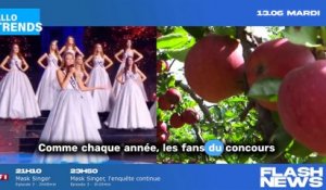 Les élections régionales de 2024 : révélation des dates pour l'élection de Miss France !