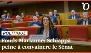 Fonds Marianne: Schiappa peine à convaincre les sénateurs