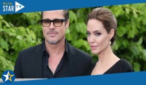 Brad Pitt et Angelina Jolie ont-ils floué le fisc ? Cette surprenante découverte sur le château de M