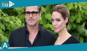 Brad Pitt et Angelina Jolie ont-ils floué le fisc ? Cette surprenante découverte sur le château de M