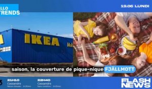 Ikea : Découvrez le produit idéal pour un pique-nique réussi à la plage !