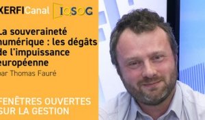 La souveraineté numérique : les dégâts de l'impuissance européenne [Thomas Fauré]