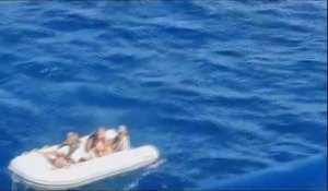 Huit Danois secourus après la collision de leur voilier avec une baleine dans le Pacifique