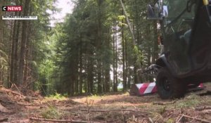 Corrèze : Lancement de fouilles pour retrouver des soldats allemands exécutés par la Résistance
