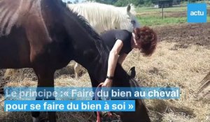 Un atelier pour oublier le cancer avec les chevaux