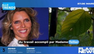 OK. "La nomination de Sylvie Tellier à l'Ordre du mérite fait polémique sur internet !"