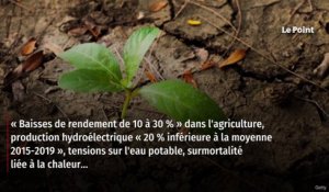 La France n’est « pas prête » à faire face aux effets du changement climatique