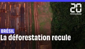 Amazonie : Entre janvier et juin 2023, la déforestation au Brésil à baissé de 34%