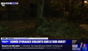 Orages dans le sud-ouest: deux personnes blessées par la chute d'un arbre à Pau