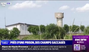 Des champs saccagés près d'une prison en Seine-Maritime
