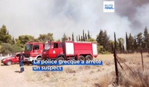 Le tour d'Europe des incendies en pleine vague de fortes chaleurs