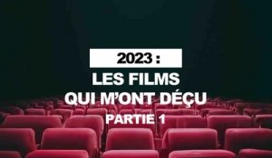 Mes déceptions de 2023