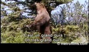 Grizzly Man (2005) - Bande annonce