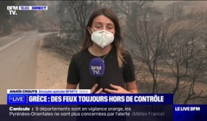 Incendies en Grèce: les pompiers français sont arrivés en renfort