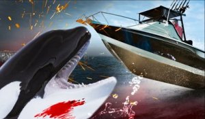 La vérité sur les attaques d'orques à Gibraltar